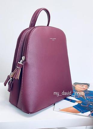 Класний рюкзак david jones 2