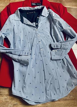 Сорочка zara в смужку блакитна рубашка