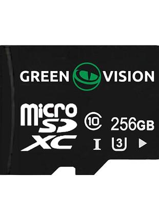Карта памяти greenvision microsdxc 256gb class10 (без адаптера)