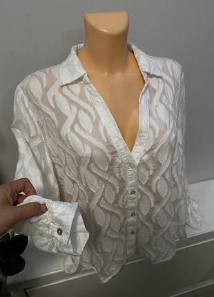 Блуза zara 2