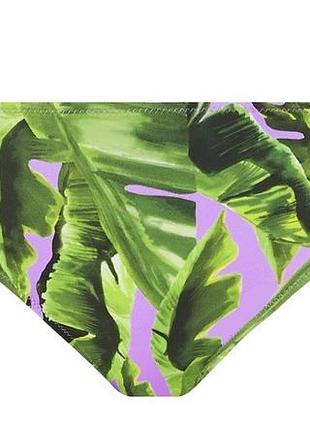 Плавки freya jungle oasis 6843 xl cassis (889501253524 )