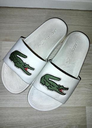 Шлепанцы lacoste