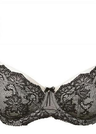 Бюстгальтер fantasie isabella 9331 75e shadow (889500178613 )