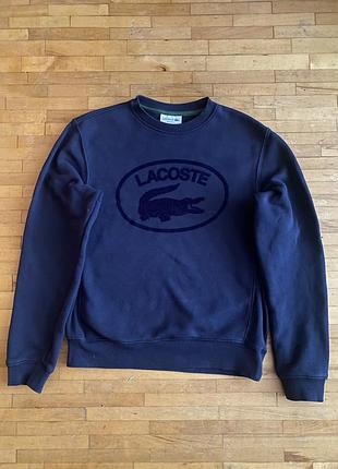 Світшот чоловічий lacoste big logo