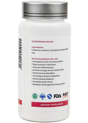 Ганодерма, ganoderma brionel, 60 кап 2