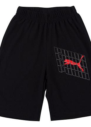 Мужские шорты puma xxl