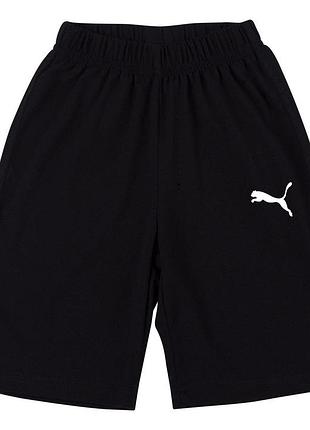 Мужские шорты puma xxl