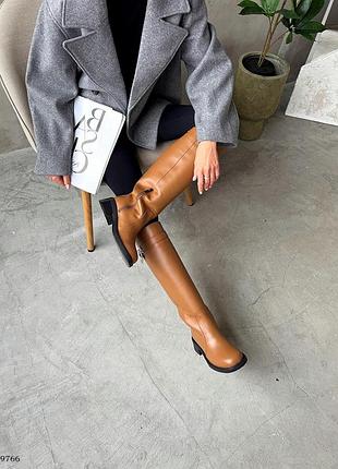 9766 сапоги зима 38 (24,5 см) 5