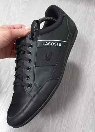 Чоловічі кросівки lacoste 3