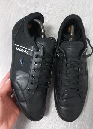 Мужские кроссовки lacoste