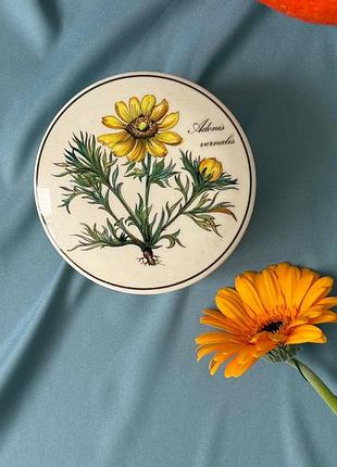 Вінтажна порцелянова ємність villeroy & boch «botanica»