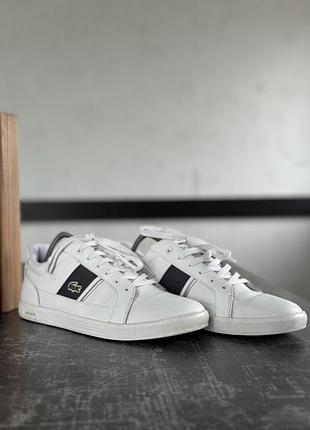 Кросівки lacoste 2