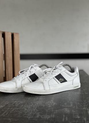 Кросівки lacoste 3