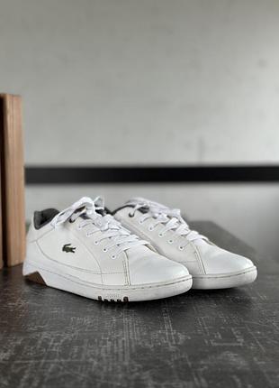 Кросівки lacoste 2