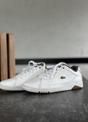 Кросівки lacoste 3