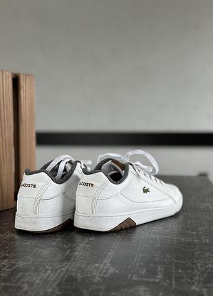 Кросівки lacoste 5