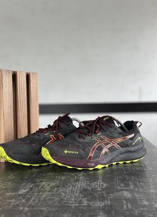 Кросівки asics gore tex 3