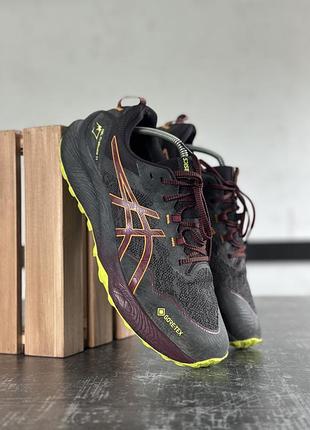 Кросівки asics gore tex