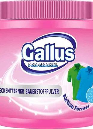 Средство для удаления пятен 600г (порошок) для цветных вещей тм gallus