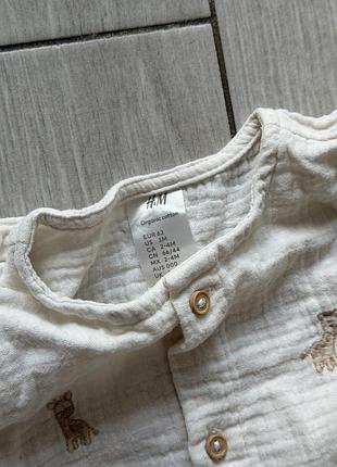 Мусліновий боді h&m 62 розмір 4