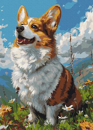 Картина за номерами "сонячний коргі" bs53943, 40x50 см