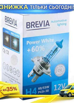 Ku галогеновая лампа h4 universal fit 12v 60/55w p43t brevia для авто белый свет +60% 4300k замена фар uni2l_k