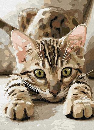 Картина за номерами "грайливе кошеня" ©art_selena_ua kho6877, 40х40 см