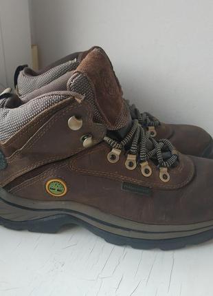 Шкіряні черевики timberland 37-38р. 7m 24 см3 фото