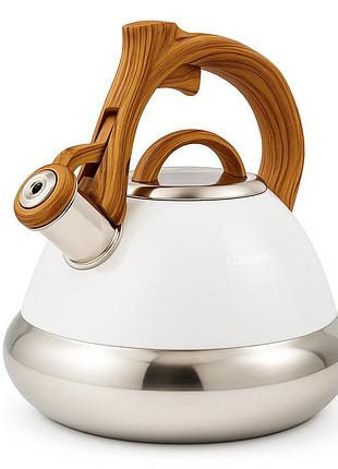 Нержавіючі чайники зі свистком, чайник 3 л нержавіюча сталь, гарний чайник для плит kc-72