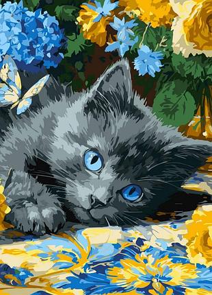 Картина за номерами "кошення блакитнооке" ©art_selena_ua kho6795, 40х40 см