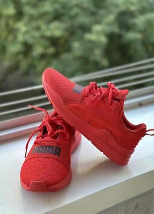 Кросівки puma жіночі червоні 38 розмір 24 см