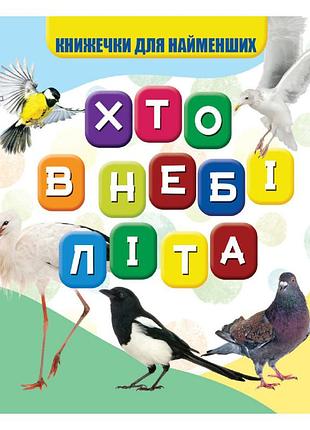 Моя перша книжечка хто в небі літає vr06041708, 10 сторінок
