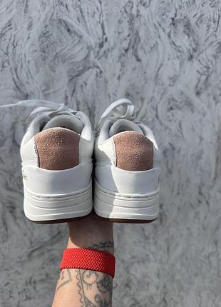 Кросівки lacoste 6