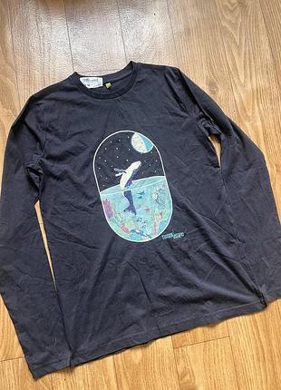 Реглан лонгслив кит organic cotton