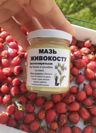Мазь для суставов окопокост