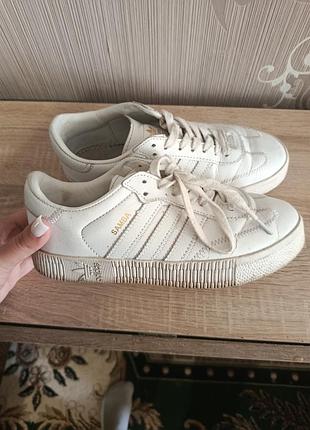 Кросівки adidas