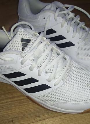 Футзалки мужские adidas speedcourt in white ie8032