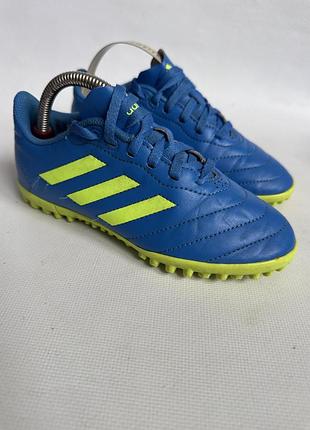 Сороконіжки adidas