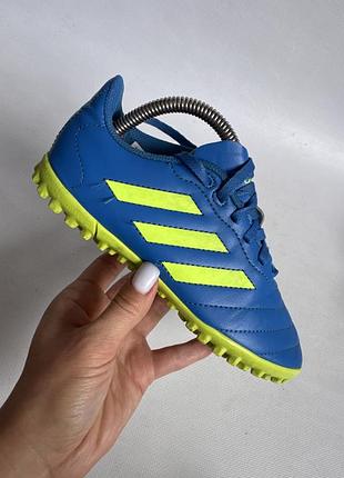 Сороконіжки adidas 6