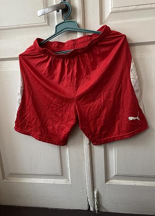 Шорти puma чоловічі з німеччини