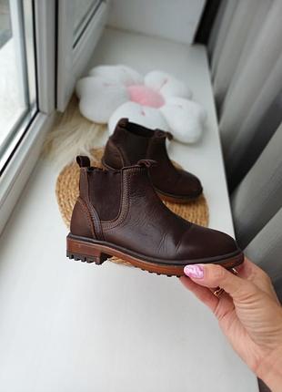 Челси zara