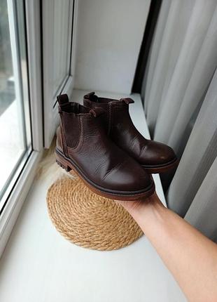 Челси zara 2