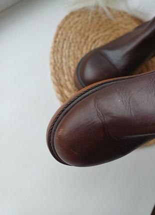 Челси zara 8