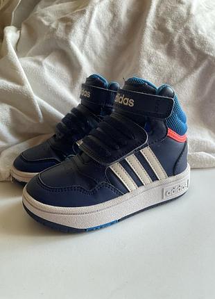Кросівки adidas дитячі хайтопи