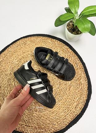 Кросівки adidas super star для хлопчика