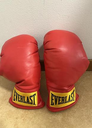 Боксерські рукавиці everlast