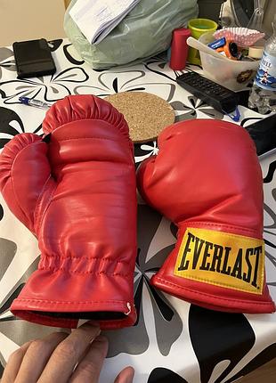 Боксерські рукавиці everlast 3