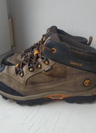 Шкіряні черевики timberland 36р. 23 див.