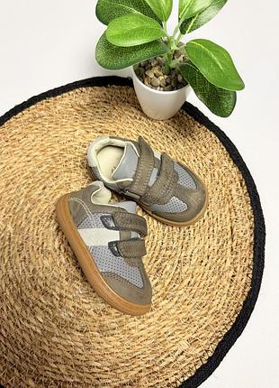 Кросівки clarks для хлопчика