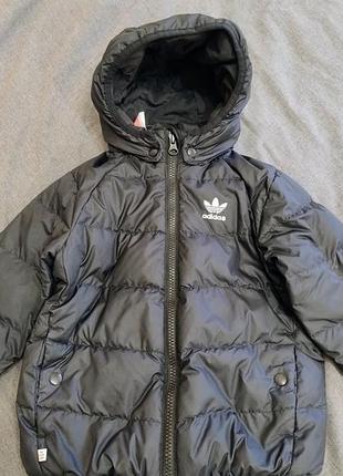 Зимова куртка adidas 2
